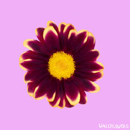 Album cover of Wallflowers
