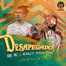 Album cover of Desapegado (Remix)