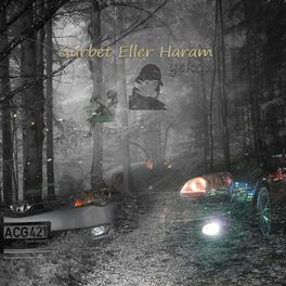 Album cover of Gurbet Eller Haram