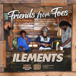 Album cover of Friends From Foes