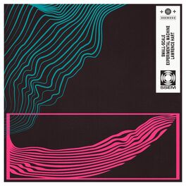 Album cover of Small-Scale Experimental Machine