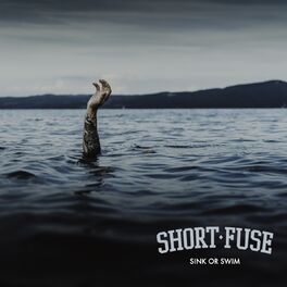 Album cover of Sink or Swim