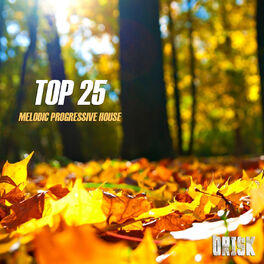 Album cover of Melodic Progressive House - TOP 25
