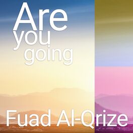 Album cover of Are you going
