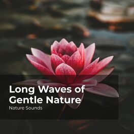 Album cover of Long Waves of Gentle Nature