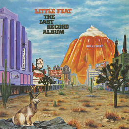 Album cover of The Last Record Album