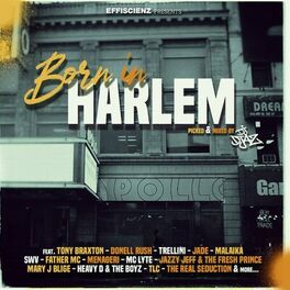 Album cover of Born In Harlem