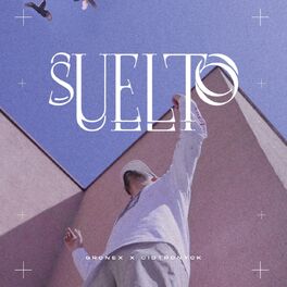 Album cover of Suelto