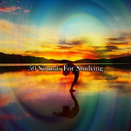 Album cover of 50 Sounds For Studying
