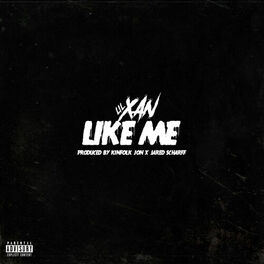 Album cover of Like Me