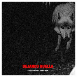 Album cover of DEJANDO HUELLA
