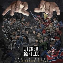 Album cover of Wicked & Riled