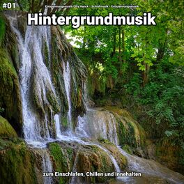 Album cover of #01 Hintergrundmusik zum Einschlafen, Chillen und Innehalten