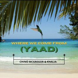 Album cover of Where We Come from (Yaad)