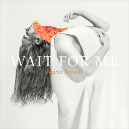 Album cover of Wait for Me