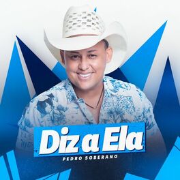 Album cover of Diz a Ela