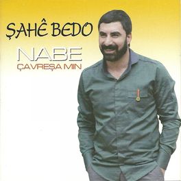 Album cover of Nabe / Çavreşamin