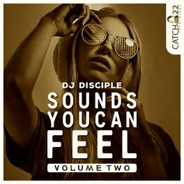 Album cover of Sounds You Can Feel, Vol. 2