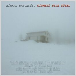 Album cover of Gitmesi Bile Güzel