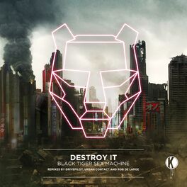 Album cover of Destroy It