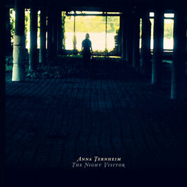 Album cover of The Night Visitor