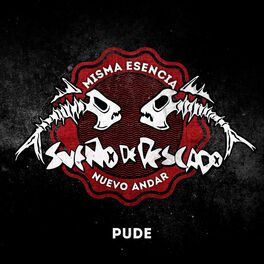 Album cover of PUDE