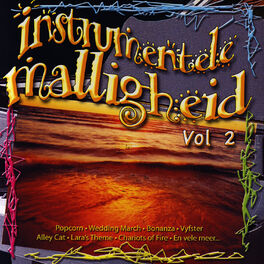 Album cover of Instrumentele Malligheid Vol 2
