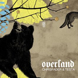Album cover of Overland