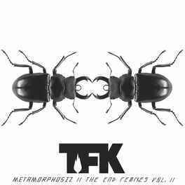 Album cover of Metamorphosiz: The End (Remixes, Vol. 2)