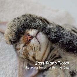 Album cover of Jazz Piano Notes: Relaxing Tunes for Purring Cats