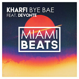 Album cover of Bye Bae