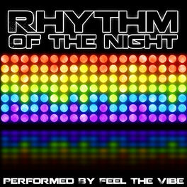 Album cover of Rhythm of the Night