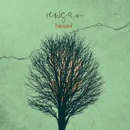 Album cover of Bingol