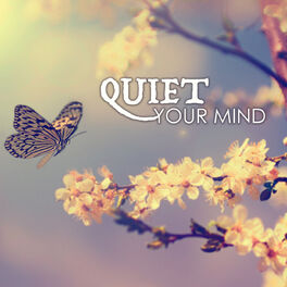 Album cover of Quiet Your Mind - Soothing Music to Relax and Get to Sleep