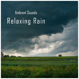 Album cover of Ambient Sounds: Relaxing Rain