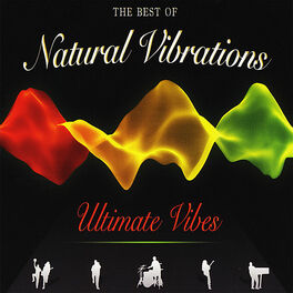 Album cover of Ultimate Vibes: The Best Of