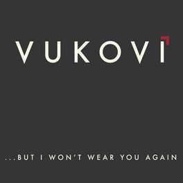 Album cover of ...But I Won't Wear You Again