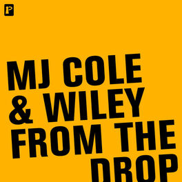 Album cover of From The Drop