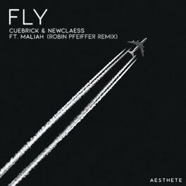 Album cover of Fly (Robin Pfeiffer Remix)