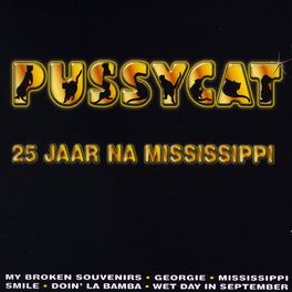 Album cover of 25 Jaar Na Mississippi