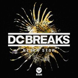 Album cover of Never Stop