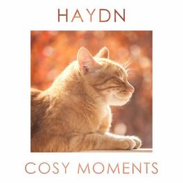 Album cover of Haydn Cosy Moments