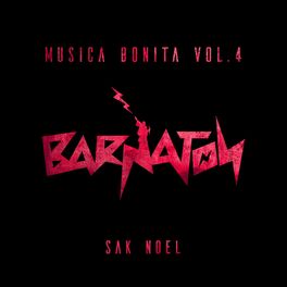 Album cover of Musica Bonita, Vol. 4