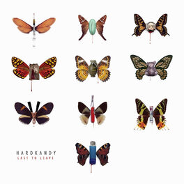 Album cover of Last to Leave