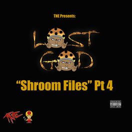 Album cover of Shroom Files, Pt. 4