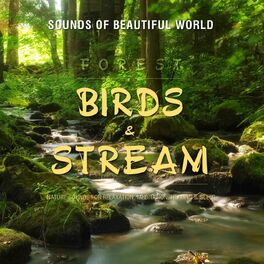Album cover of Forest: Birds & Stream (Nature Sounds for Relaxation Meditation Healing & Sleep)
