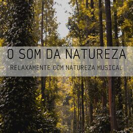 Album cover of O Som Da Natureza: Relaxamente Com Natureza Musical