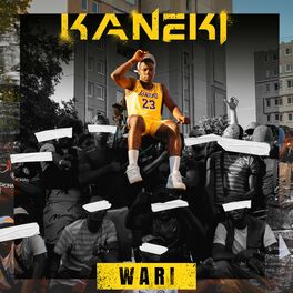 Album cover of Wari