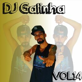Album cover of DJ Galinha Vol 14 (Album)