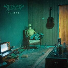 Album cover of Voices